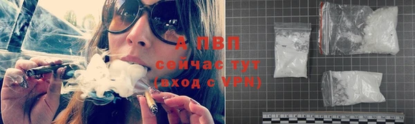 МДПВ Дмитриев