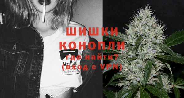МДПВ Дмитриев