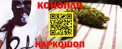 шишки Бийск
