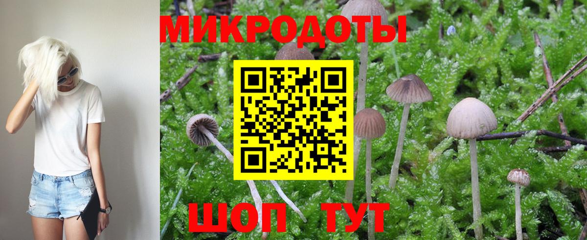 Кинель  Галлюциногенные грибы MAGIC MUSHROOMS  Псилоцибиновые грибы Magic Shrooms  Вход с VPN 